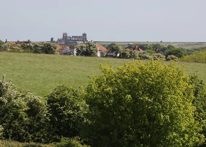 度假居 Goathland *