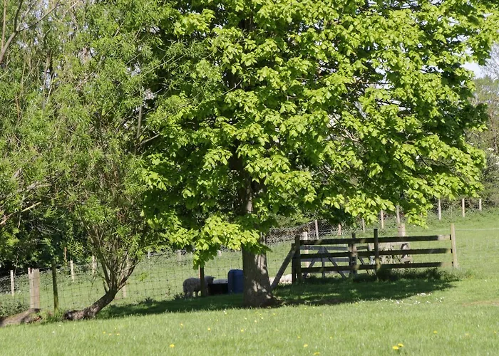 Goathland 度假居 *