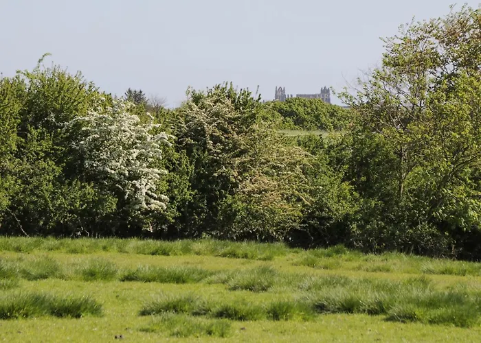 בית נופש Goathland *