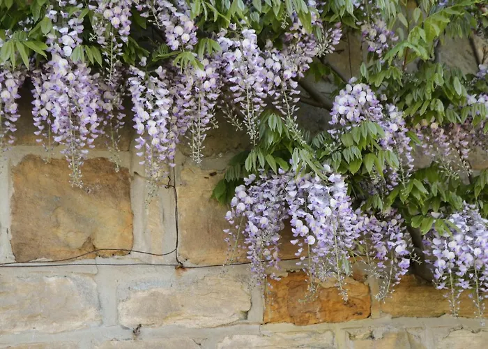 Goathland בית נופש